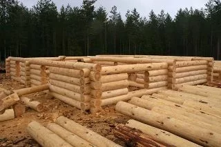 Бани из бревна в Московской области
